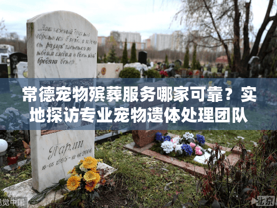 常德宠物殡葬服务哪家可靠?实地探访专业宠物遗体处理团队 常德宠物殡葬服务哪家可靠?实地探访专业宠物遗体处理团队