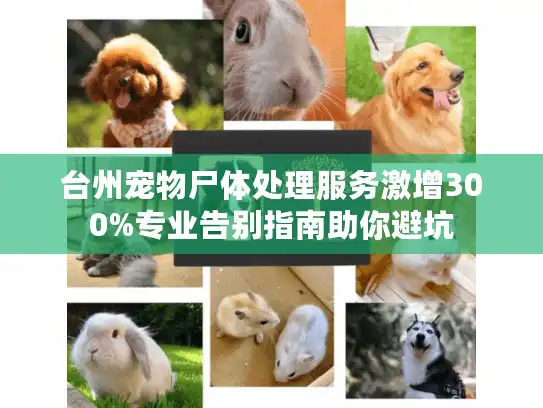 台州宠物尸体处理服务激增300%专业告别指南助你避坑