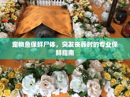 宠物鱼保鲜尸体，突发丧葬时的专业保鲜指南