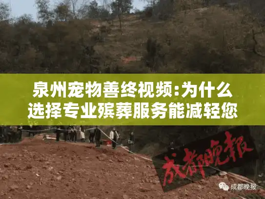 泉州宠物善终视频:为什么选择专业殡葬服务能减轻您的悲伤?