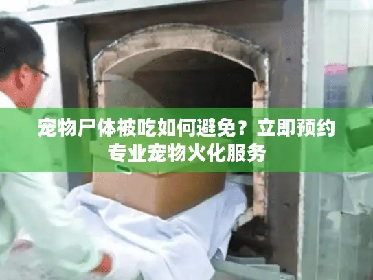 宠物尸体被吃如何避免?立即预约专业宠物火化服务 宠物尸体被吃如何避免?立即预约专业宠物火化服务