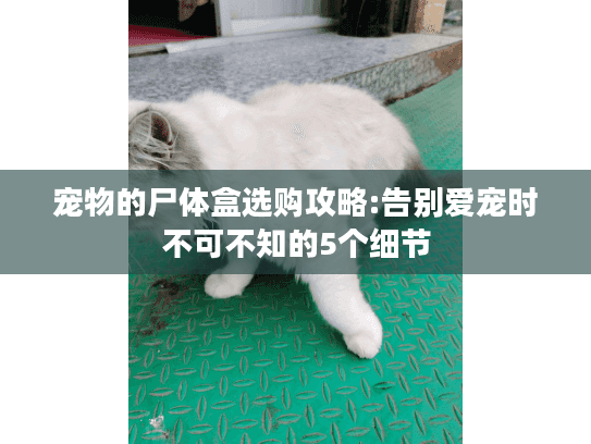 宠物的尸体盒选购攻略:告别爱宠时不可不知的5个细节