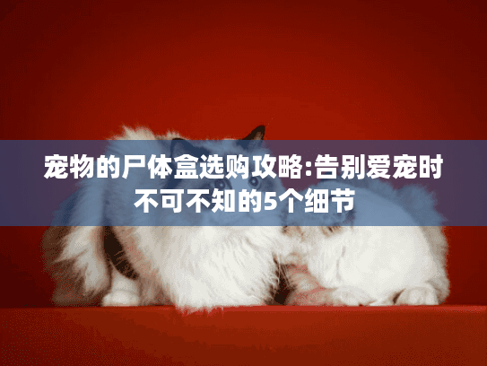 宠物的尸体盒选购攻略:告别爱宠时不可不知的5个细节
