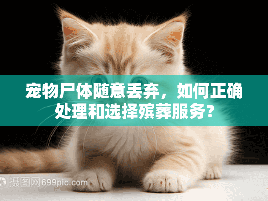 宠物尸体随意丢弃，如何正确处理和选择殡葬服务？