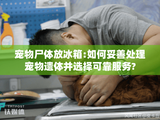 宠物尸体放冰箱:如何妥善处理宠物遗体并选择可靠服务?
