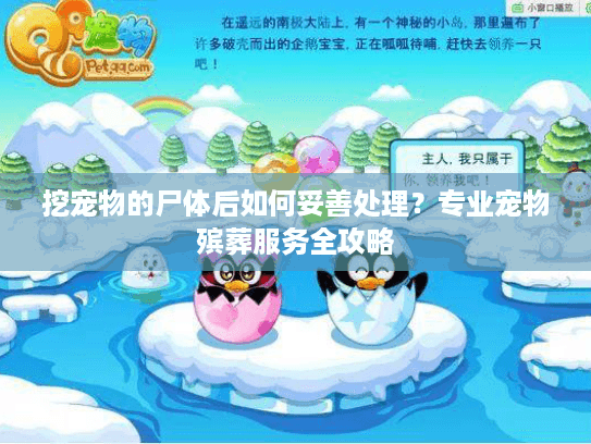 挖宠物的尸体后如何妥善处理？专业宠物殡葬服务全攻略