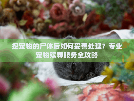 挖宠物的尸体后如何妥善处理？专业宠物殡葬服务全攻略