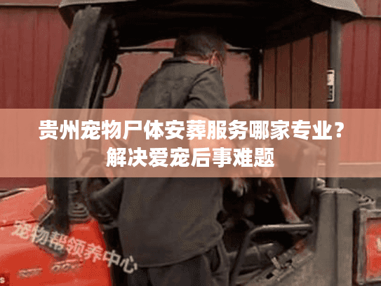 贵州宠物尸体安葬服务哪家专业?解决爱宠后事难题 贵州宠物尸体安葬服务哪家专业?解决爱宠后事难题