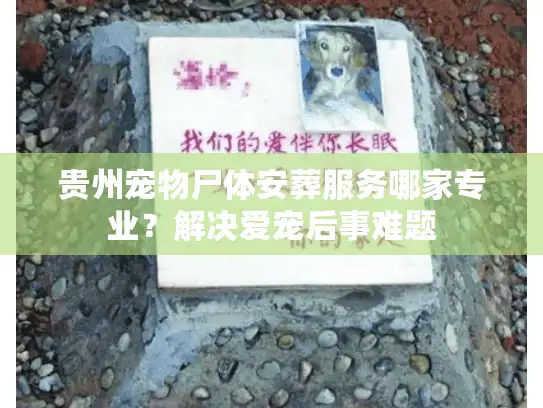 贵州宠物尸体安葬服务哪家专业?解决爱宠后事难题 贵州宠物尸体安葬服务哪家专业?解决爱宠后事难题