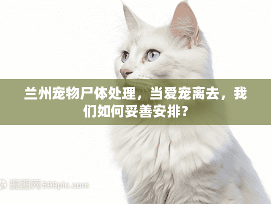 兰州宠物尸体处理,当爱宠离去,我们如何妥善安排? 兰州宠物尸体处理,当爱宠离去,我们如何妥善安排?