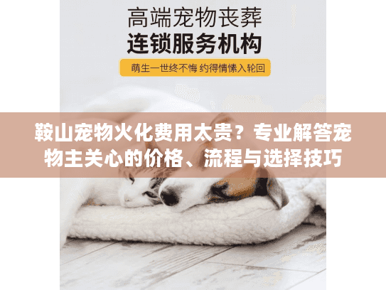 鞍山宠物火化费用太贵？专业解答宠物主关心的价格、流程与选择技巧
