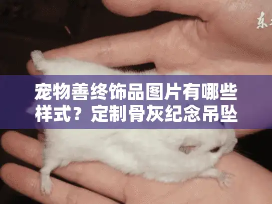 宠物善终饰品图片有哪些样式？定制骨灰纪念吊坠全解析