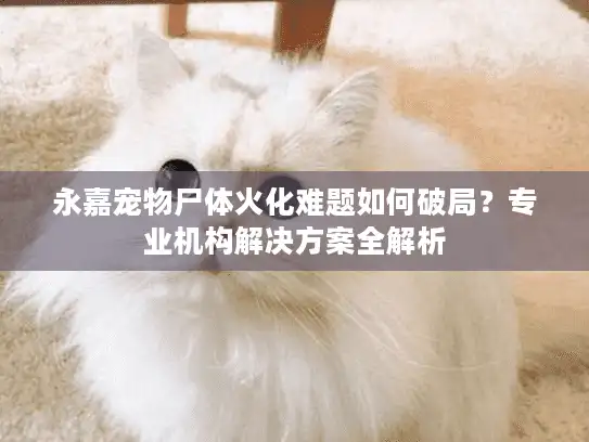 永嘉宠物尸体火化难题如何破局？专业机构解决方案全解析