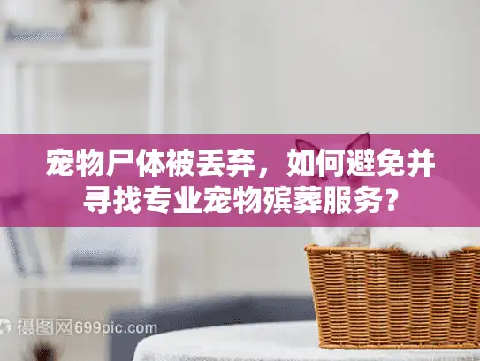 宠物尸体被丢弃，如何避免并寻找专业宠物殡葬服务？
