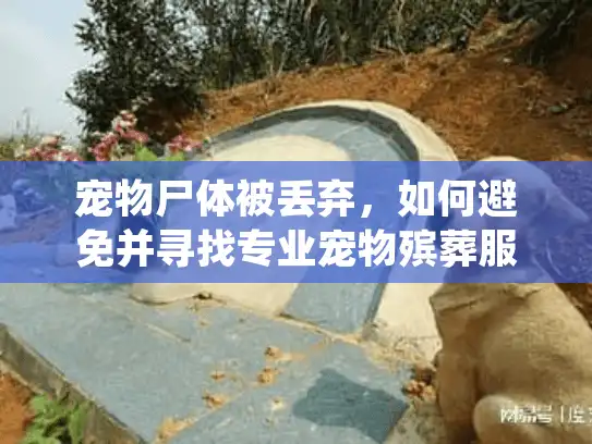 宠物尸体被丢弃，如何避免并寻找专业宠物殡葬服务？