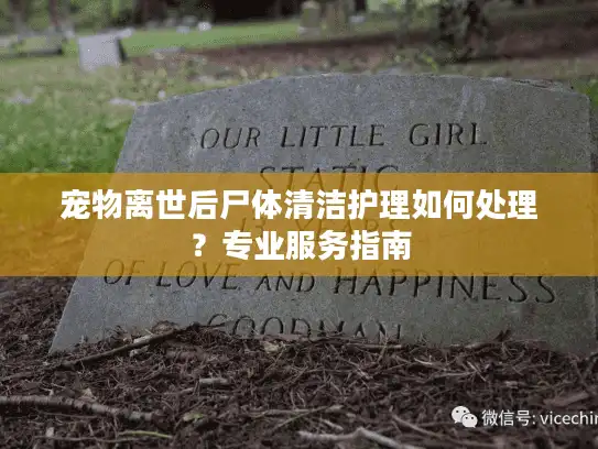 宠物离世后尸体清洁护理如何处理？专业服务指南