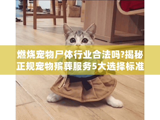 燃烧宠物尸体行业合法吗?揭秘正规宠物殡葬服务5大选择标准