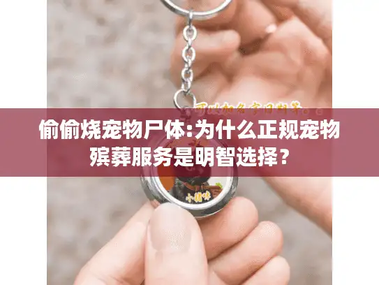 偷偷烧宠物尸体:为什么正规宠物殡葬服务是明智选择？