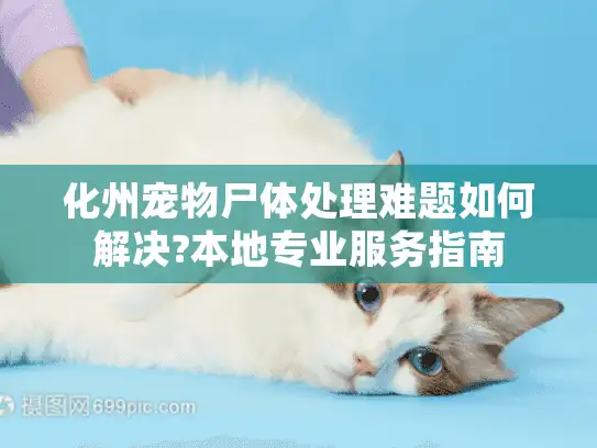 化州宠物尸体处理难题如何解决?本地专业服务指南 化州宠物尸体处理难题如何解决?本地专业服务指南