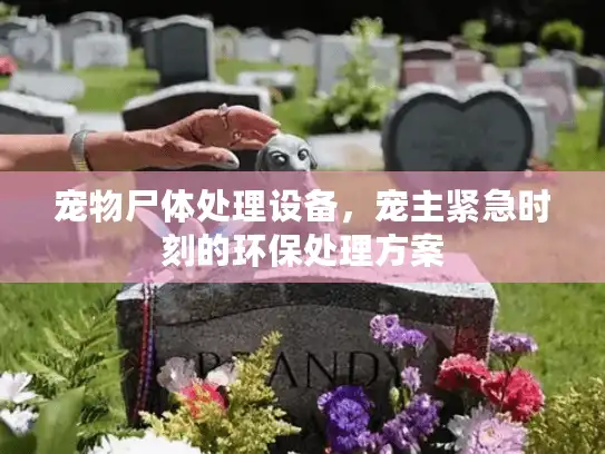 宠物尸体处理设备,宠主紧急时刻的环保处理方案 宠物尸体处理设备,宠主紧急时刻的环保处理方案