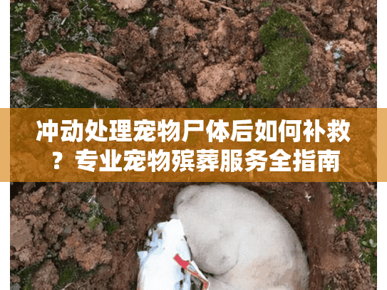 冲动处理宠物尸体后如何补救?专业宠物殡葬服务全指南 冲动处理宠物尸体后如何补救?专业宠物殡葬服务全指南