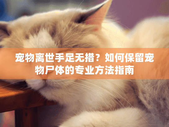 宠物离世手足无措？如何保留宠物尸体的专业方法指南