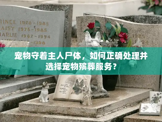 宠物守着主人尸体，如何正确处理并选择宠物殡葬服务？