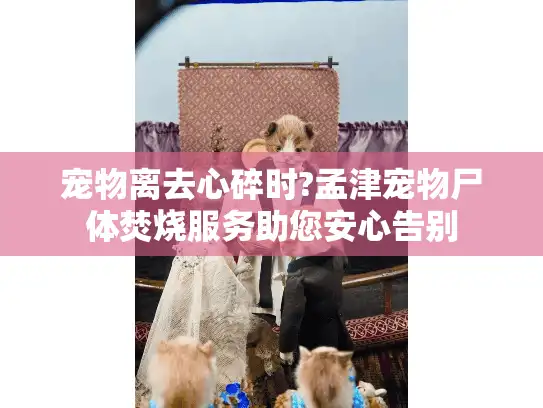 宠物离去心碎时?孟津宠物尸体焚烧服务助您安心告别 宠物离去心碎时?孟津宠物尸体焚烧服务助您安心告别