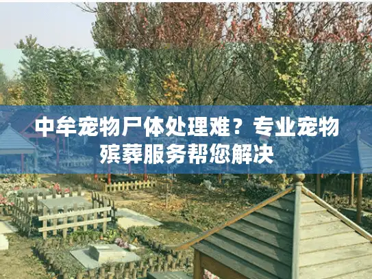 中牟宠物尸体处理难？专业宠物殡葬服务帮您解决