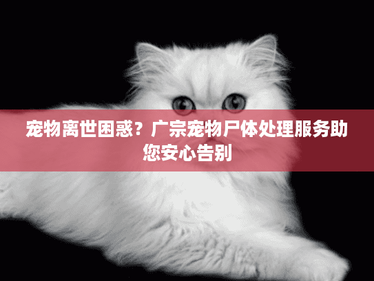 宠物离世困惑?广宗宠物尸体处理服务助您安心告别 宠物离世困惑?广宗宠物尸体处理服务助您安心告别