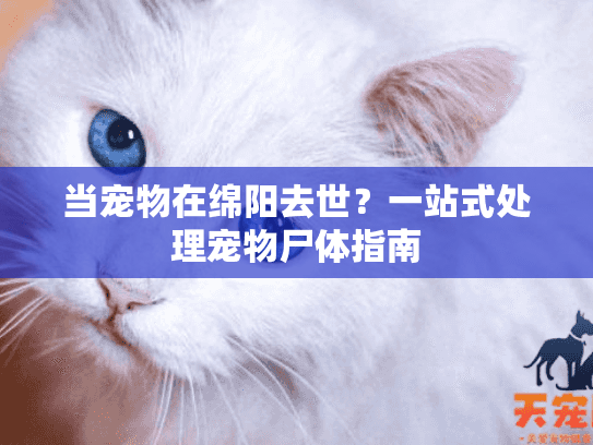 当宠物在绵阳去世？一站式处理宠物尸体指南