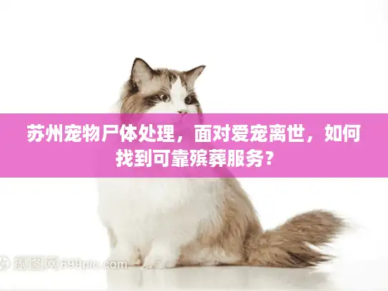 苏州宠物尸体处理，面对爱宠离世，如何找到可靠殡葬服务？