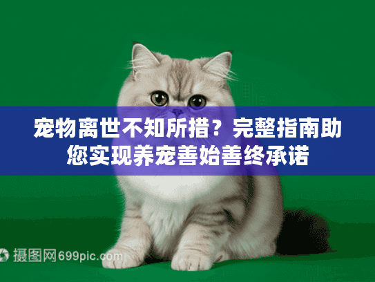 宠物离世不知所措？完整指南助您实现养宠善始善终承诺