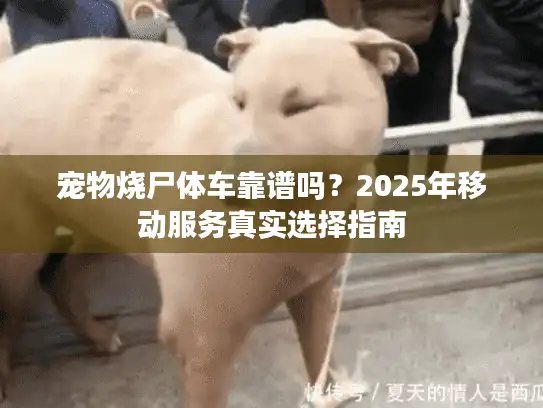 宠物烧尸体车靠谱吗?2025年移动服务真实选择指南 宠物烧尸体车靠谱吗?2025年移动服务真实选择指南