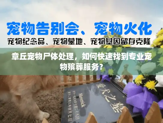 章丘宠物尸体处理，如何快速找到专业宠物殡葬服务？