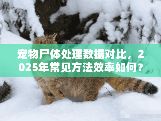 宠物尸体处理数据对比,2025年常见方法效率如何? 宠物尸体处理数据对比,2025年常见方法效率如何?