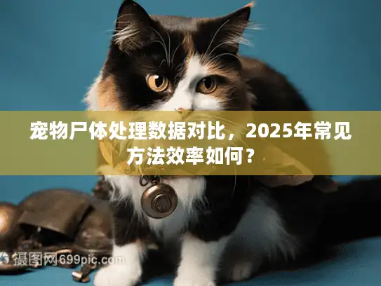 宠物尸体处理数据对比,2025年常见方法效率如何? 宠物尸体处理数据对比,2025年常见方法效率如何?