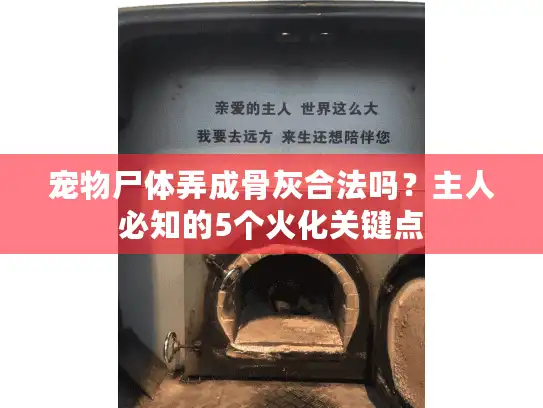 宠物尸体弄成骨灰合法吗？主人必知的5个火化关键点
