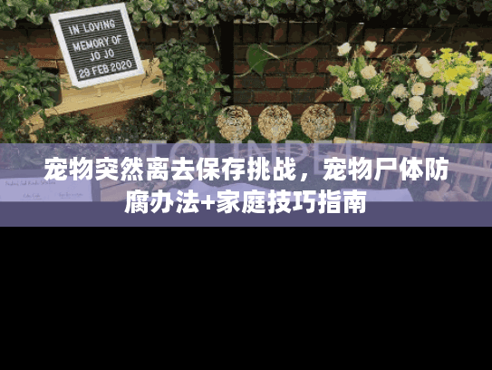 宠物突然离去保存挑战，宠物尸体防腐办法+家庭技巧指南