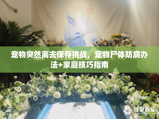 宠物突然离去保存挑战，宠物尸体防腐办法+家庭技巧指南