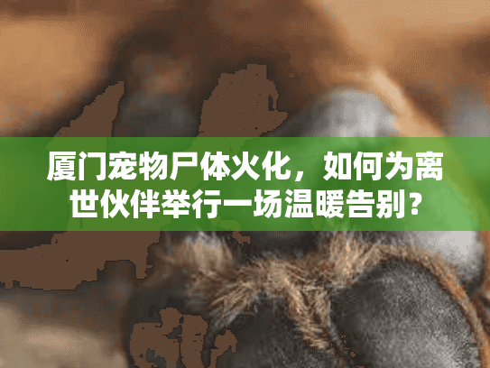 厦门宠物尸体火化,如何为离世伙伴举行一场温暖告别? 厦门宠物尸体火化,如何为离世伙伴举行一场温暖告别?