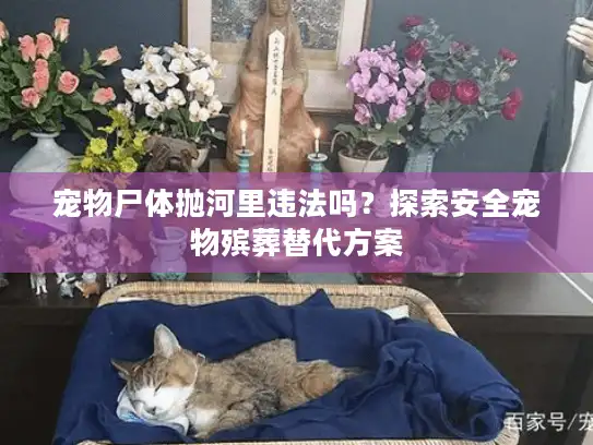 宠物尸体抛河里违法吗？探索安全宠物殡葬替代方案