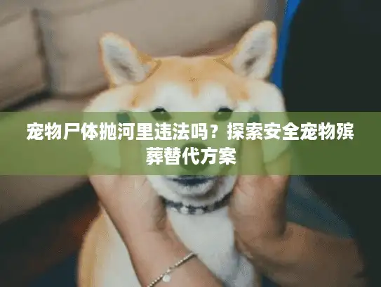 宠物尸体抛河里违法吗？探索安全宠物殡葬替代方案