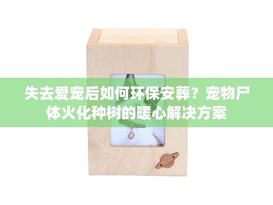 失去爱宠后如何环保安葬？宠物尸体火化种树的暖心解决方案