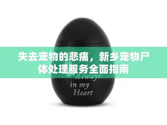 失去宠物的悲痛,新乡宠物尸体处理服务全面指南 失去宠物的悲痛,新乡宠物尸体处理服务全面指南
