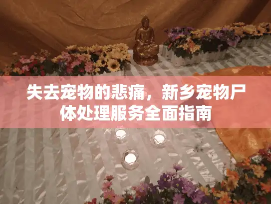 失去宠物的悲痛,新乡宠物尸体处理服务全面指南 失去宠物的悲痛,新乡宠物尸体处理服务全面指南