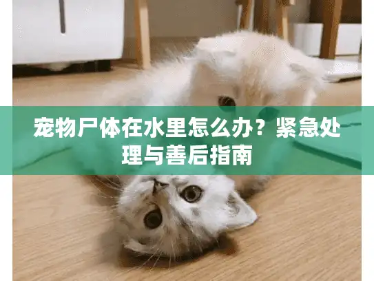 宠物尸体在水里怎么办？紧急处理与善后指南