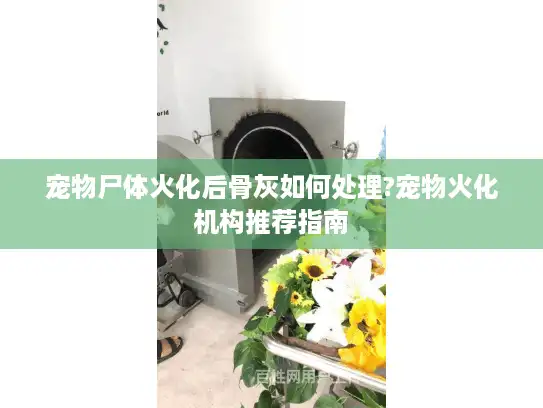 宠物尸体火化后骨灰如何处理?宠物火化机构推荐指南