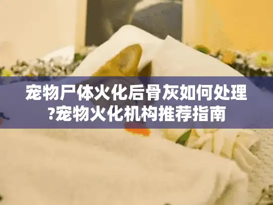 宠物尸体火化后骨灰如何处理?宠物火化机构推荐指南