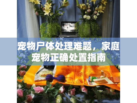 宠物尸体处理难题,家庭宠物正确处置指南 宠物尸体处理难题,家庭宠物正确处置指南